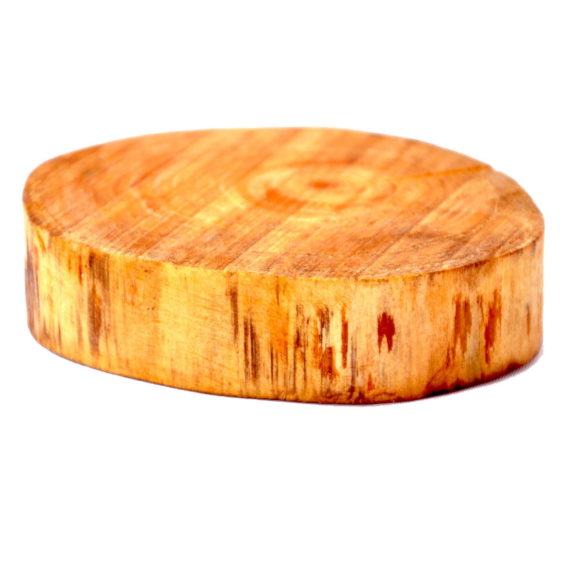 Rustic Tree-Bark Wood Coaster — Natural Live-Edge Slice